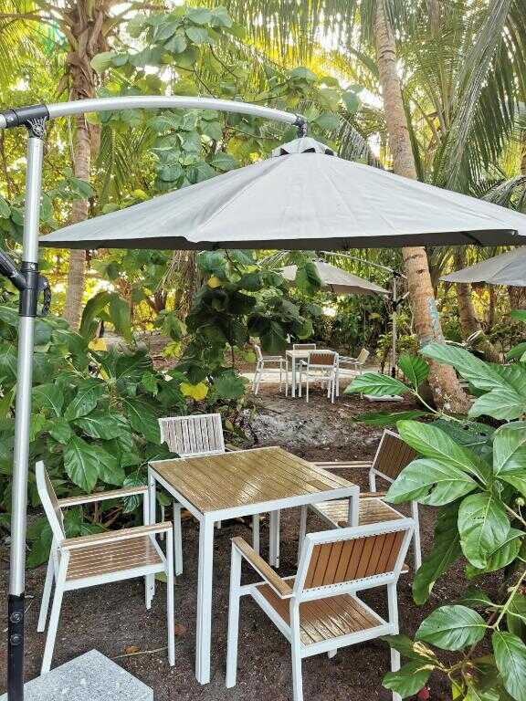 Garden seating area among palm trees at Village Hideaways & Spas, Fulhadhoo